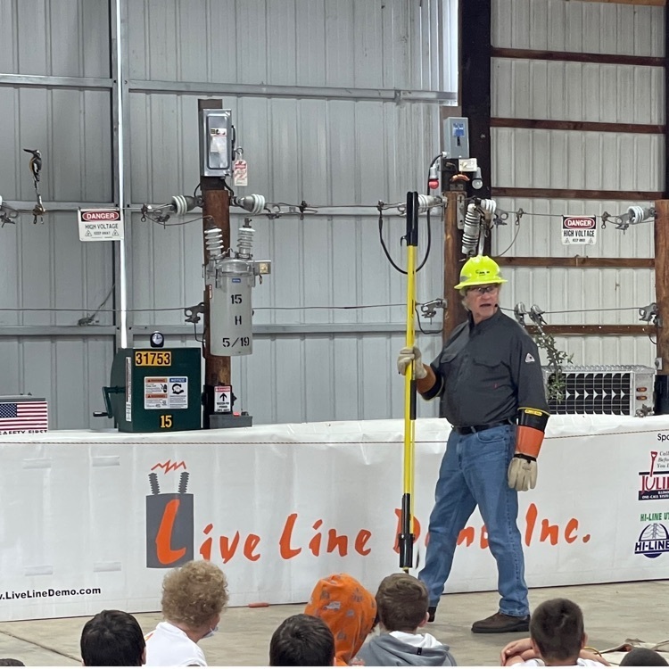 Live Line Electrical safety