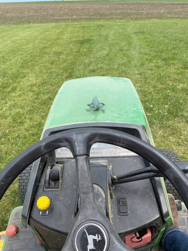 mowing!  